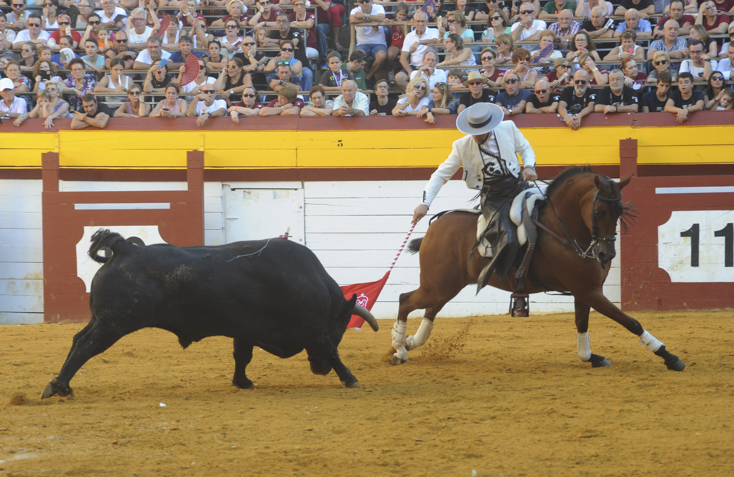 Algemesí, domingo 29 de septiembre de 2019