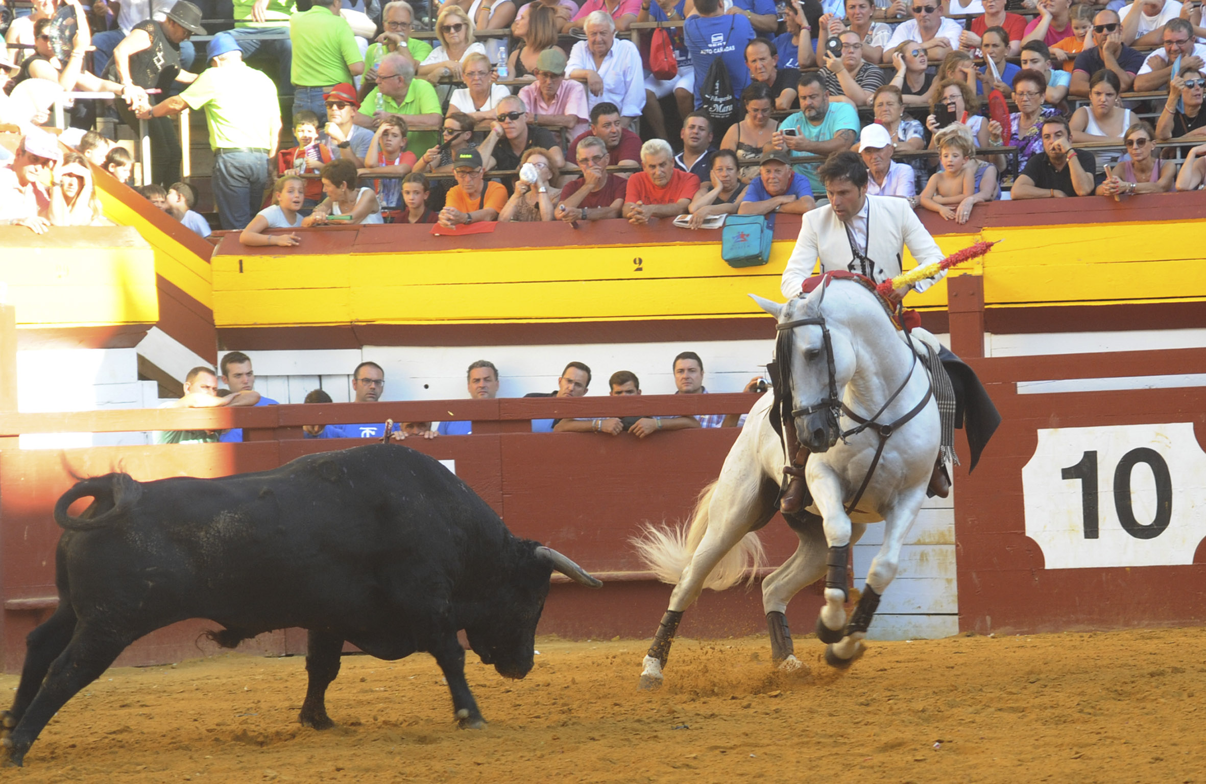 Algemesí, domingo 29 de septiembre de 2019