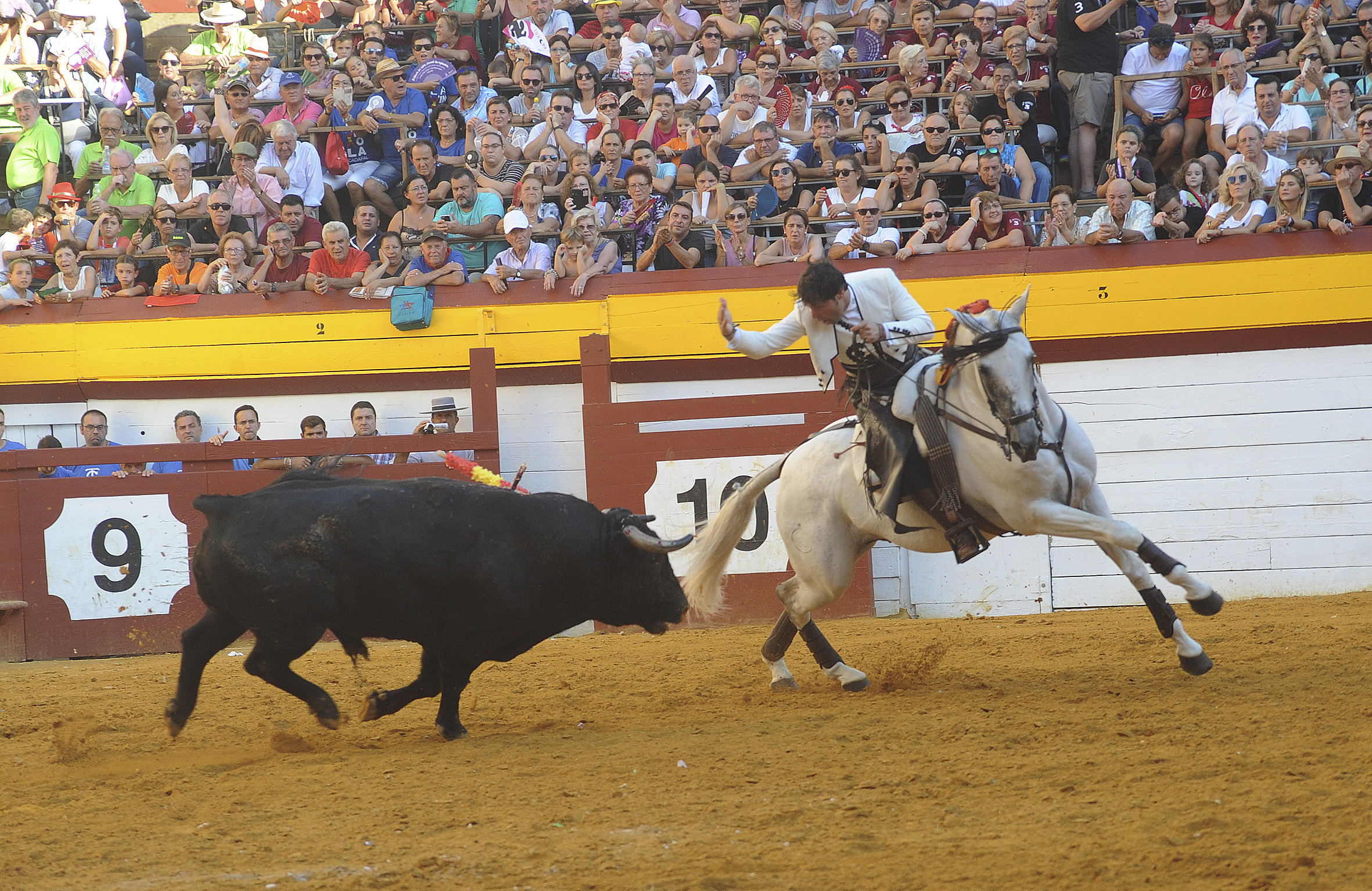 Algemesí, domingo 29 de septiembre de 2019