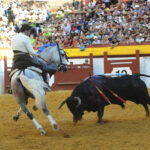 Algemesí, domingo 29 de septiembre de 2019