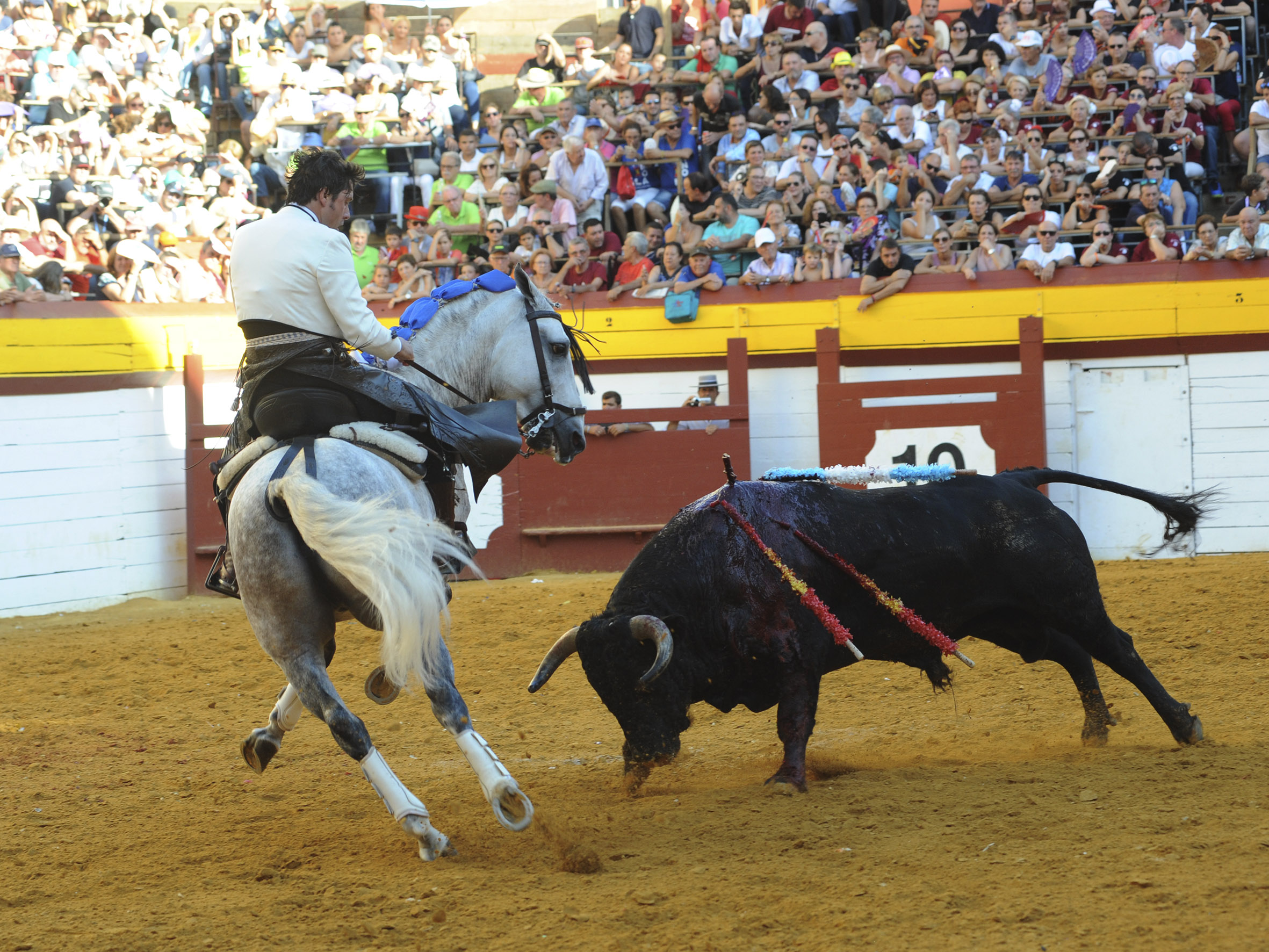 Algemesí, domingo 29 de septiembre de 2019