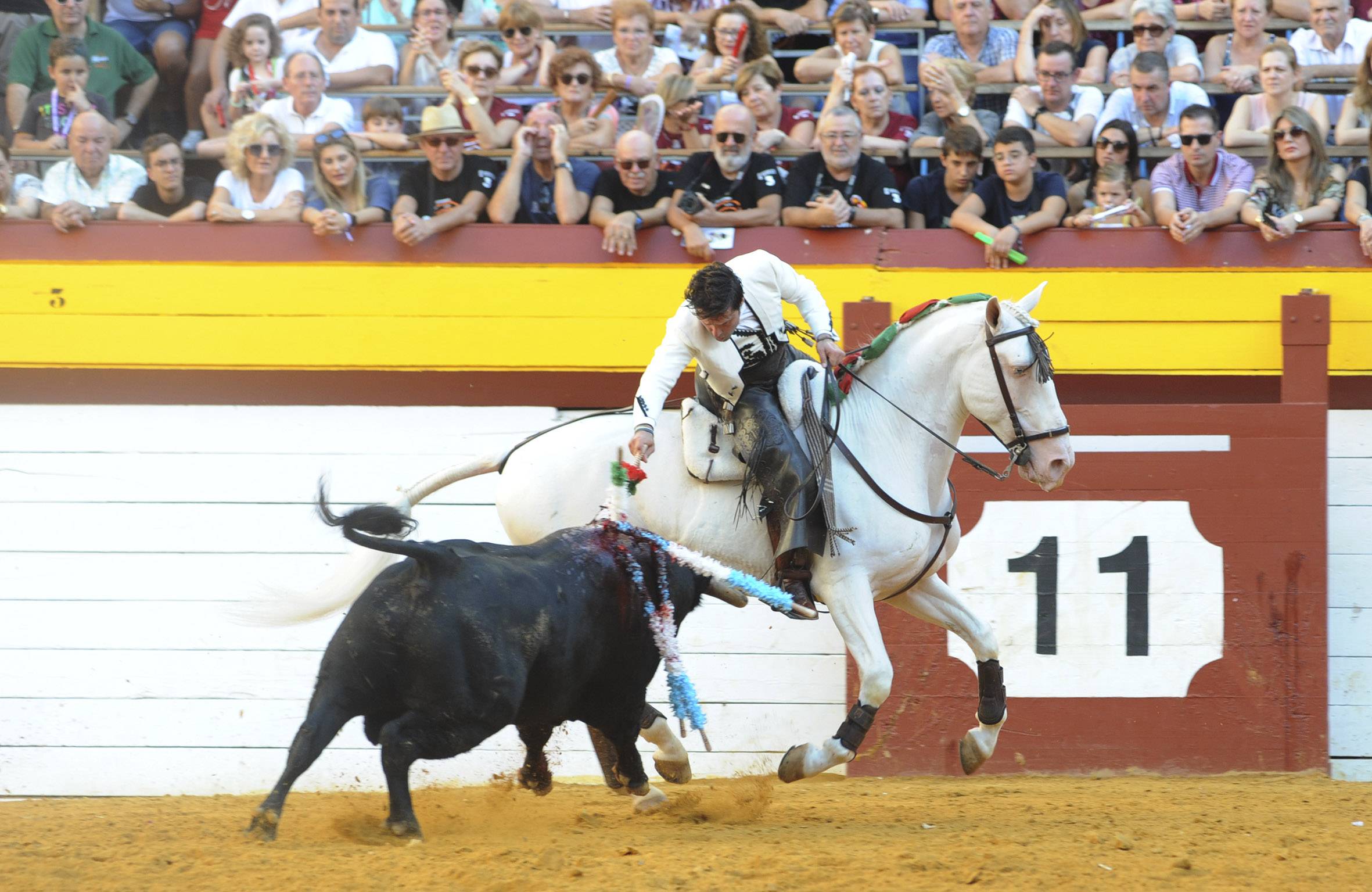 Algemesí, domingo 29 de septiembre de 2019