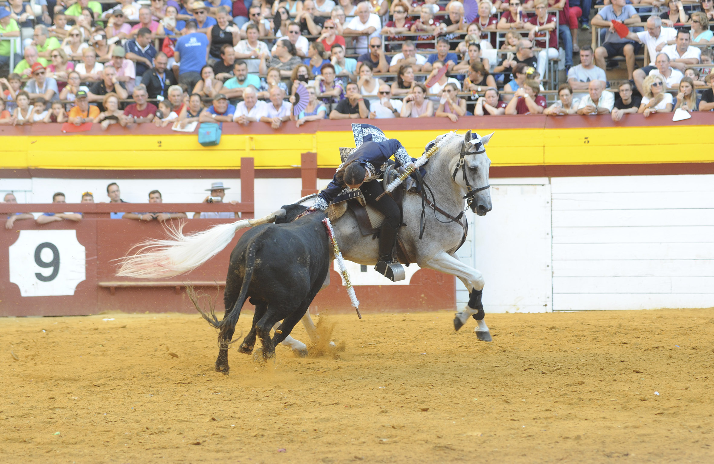 Algemesí, domingo 29 de septiembre de 2019