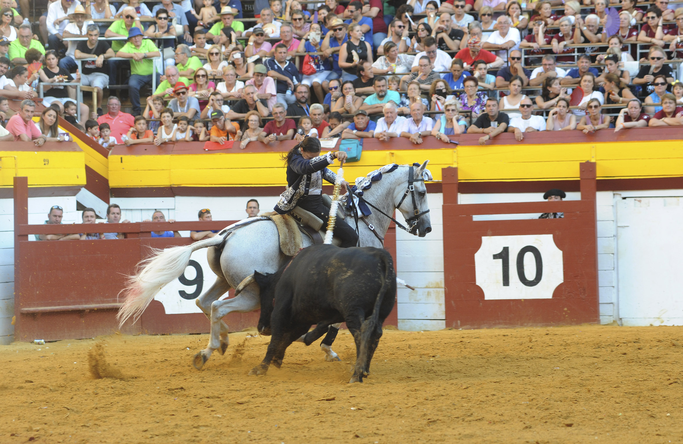 Algemesí, domingo 29 de septiembre de 2019
