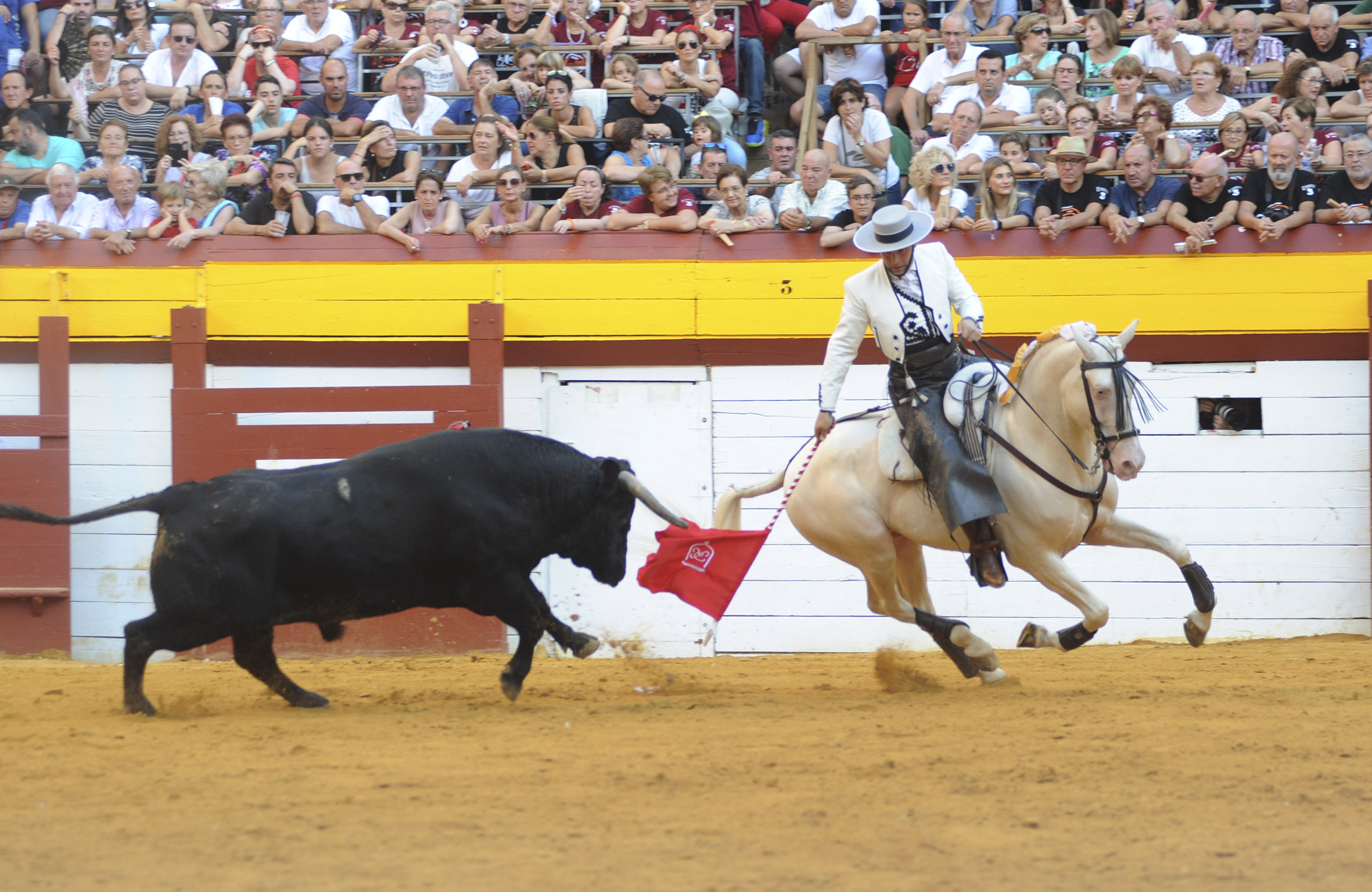 Algemesí, domingo 29 de septiembre de 2019