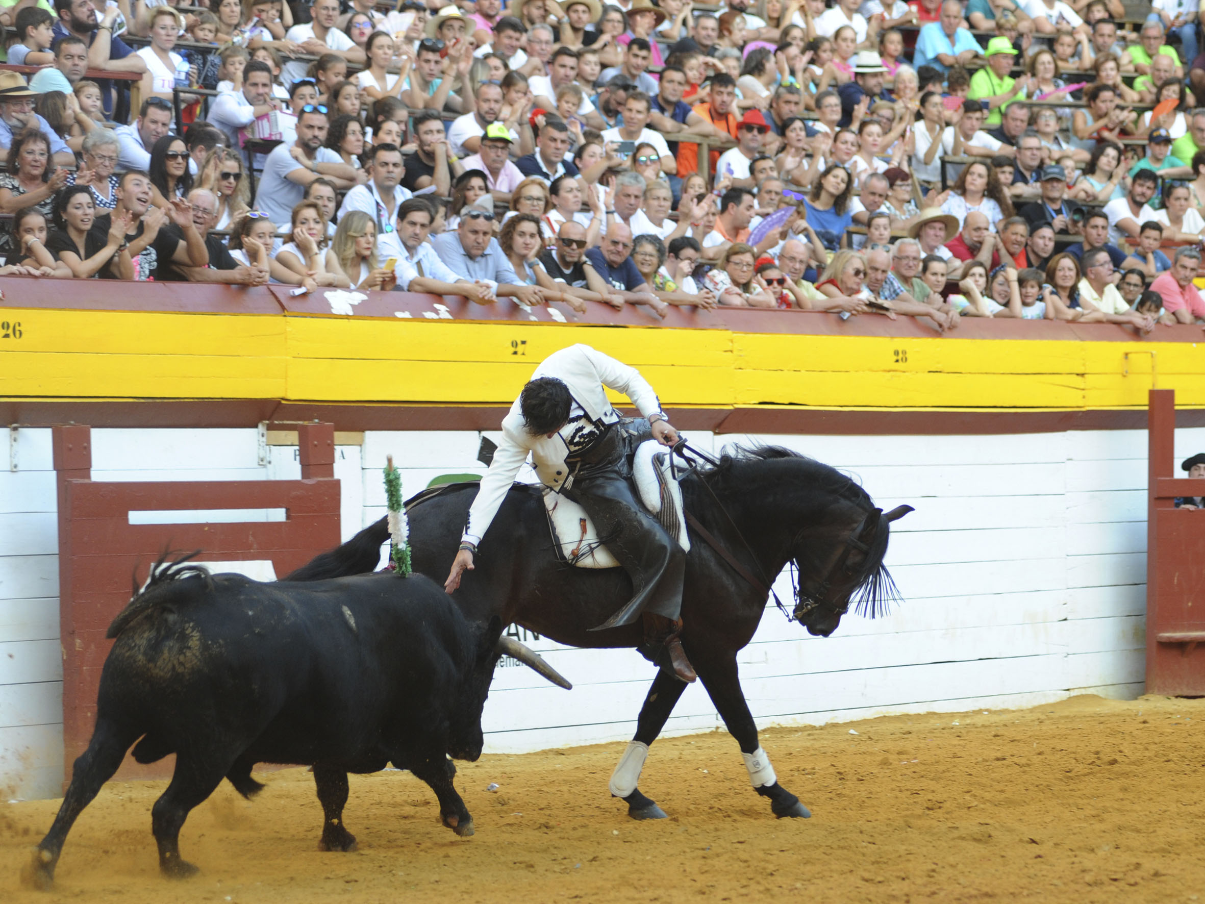 Algemesí, domingo 29 de septiembre de 2019