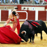 Valladolid, viernes 13 de septiembre de 2019