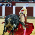 Valladolid, viernes 13 de septiembre de 2019