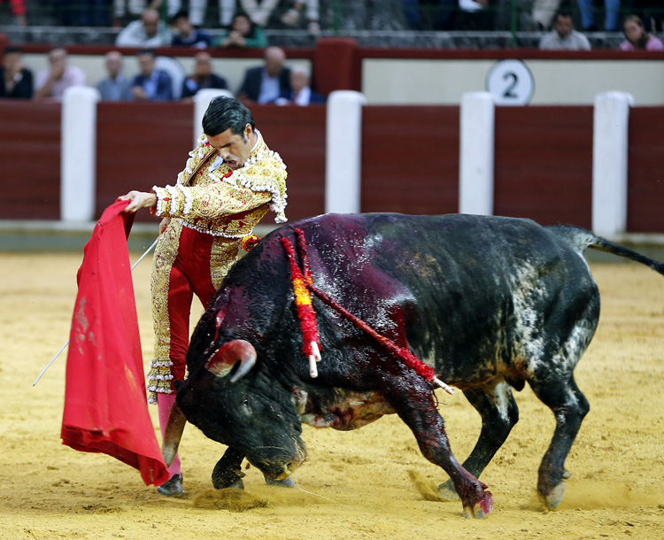 Valladolid, viernes 13 de septiembre de 2019