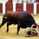 Valladolid, sábado 14 de septiembre de 2019