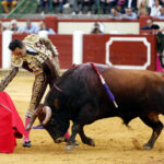 Valladolid, sábado 14 de septiembre de 2019