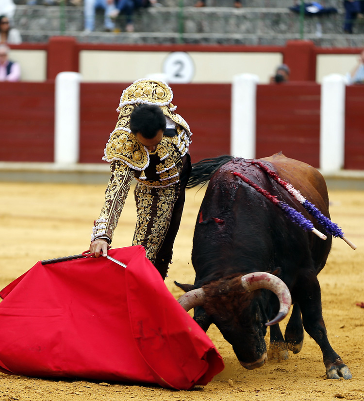 Valladolid, sábado 14 de septiembre de 2019
