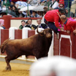 Valladolid, sábado 14 de septiembre de 2019