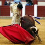 Valladolid, sábado 14 de septiembre de 2019
