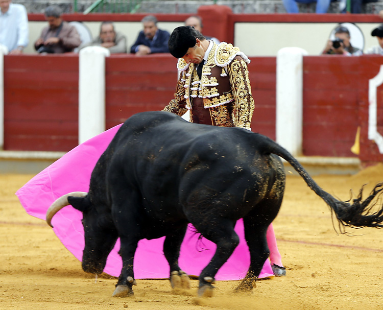 Valladolid, sábado 14 de septiembre de 2019