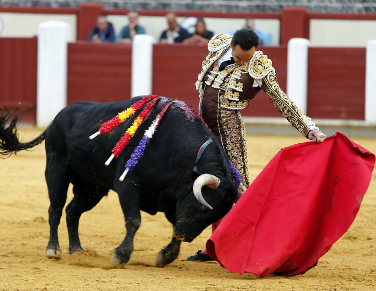 Valladolid, sábado 14 de septiembre de 2019