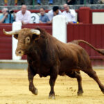 Valladolid, sábado 14 de septiembre de 2019