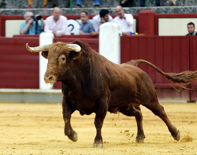 Valladolid, sábado 14 de septiembre de 2019