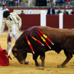Valladolid, sábado 14 de septiembre de 2019