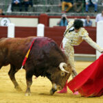 Valladolid, sábado 14 de septiembre de 2019