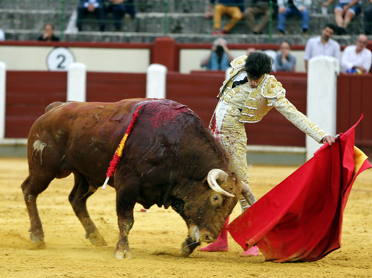 Valladolid, sábado 14 de septiembre de 2019