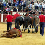 Valladolid, sábado 14 de septiembre de 2019