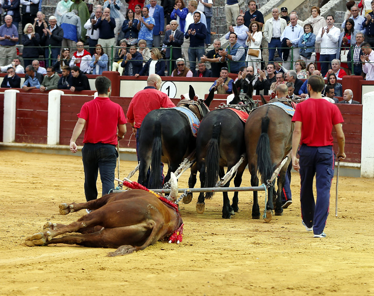 Valladolid, sábado 14 de septiembre de 2019