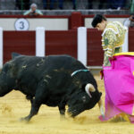 Valladolid, sábado 14 de septiembre de 2019