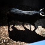 Sorteo. Salamanca, 14 de septiembre de 2019