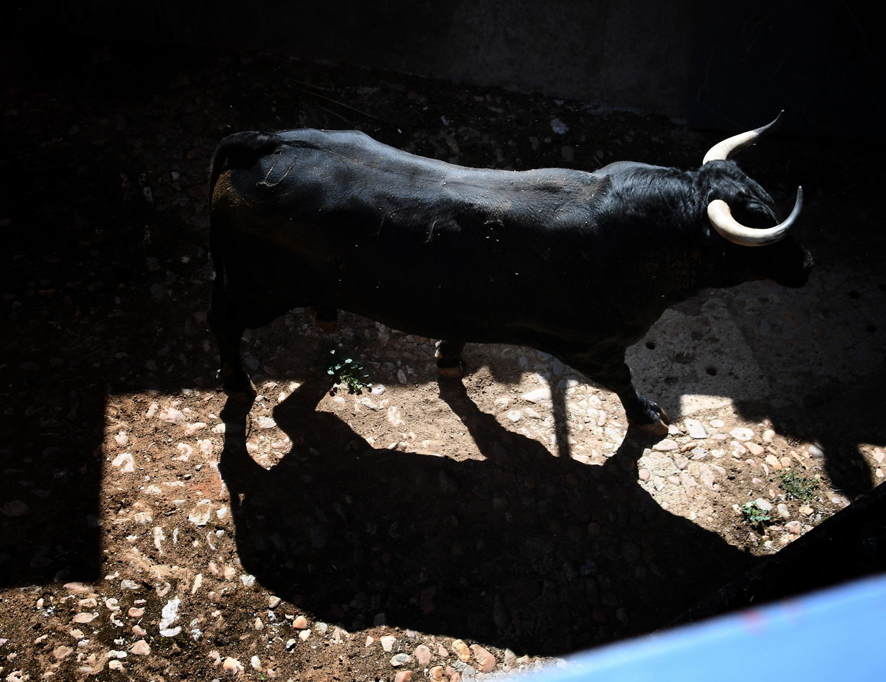 Sorteo. Salamanca, 14 de septiembre de 2019