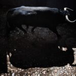 Sorteo. Salamanca, 14 de septiembre de 2019