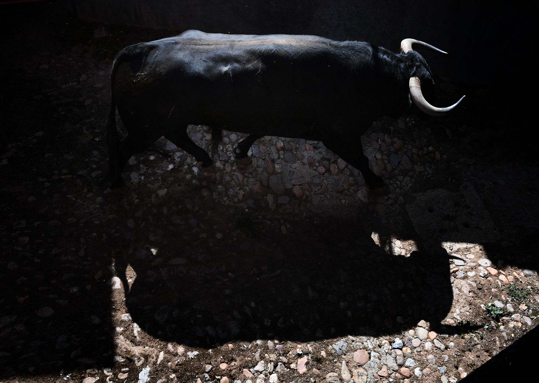 Sorteo. Salamanca, 14 de septiembre de 2019