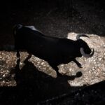 Sorteo. Salamanca, 14 de septiembre de 2019