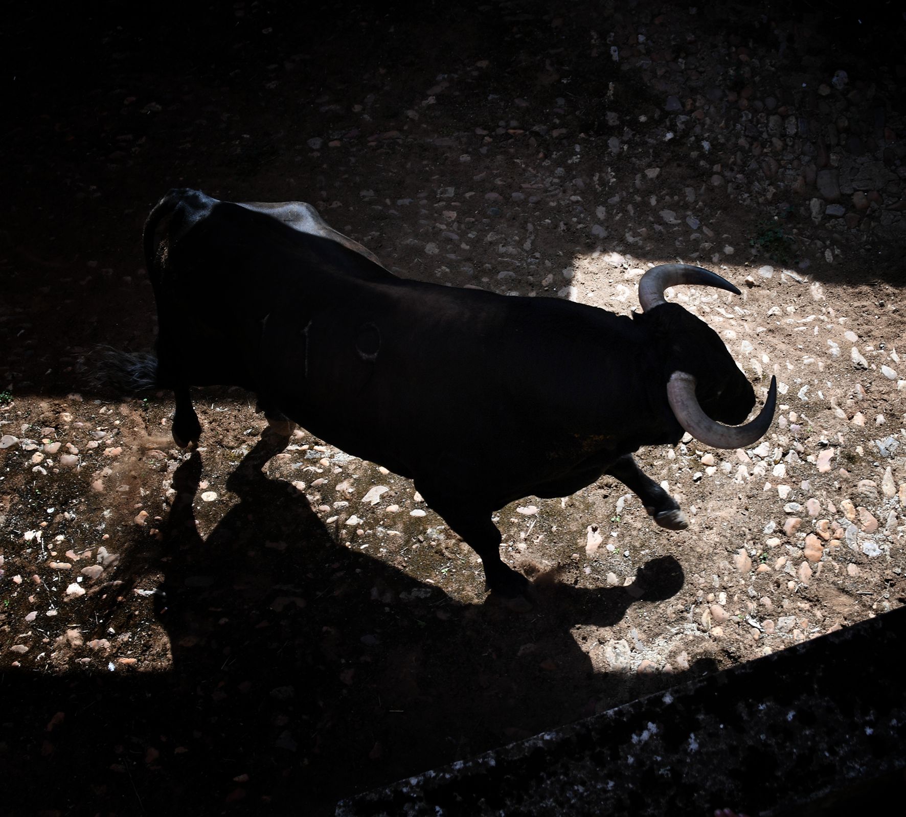 Sorteo. Salamanca, 14 de septiembre de 2019