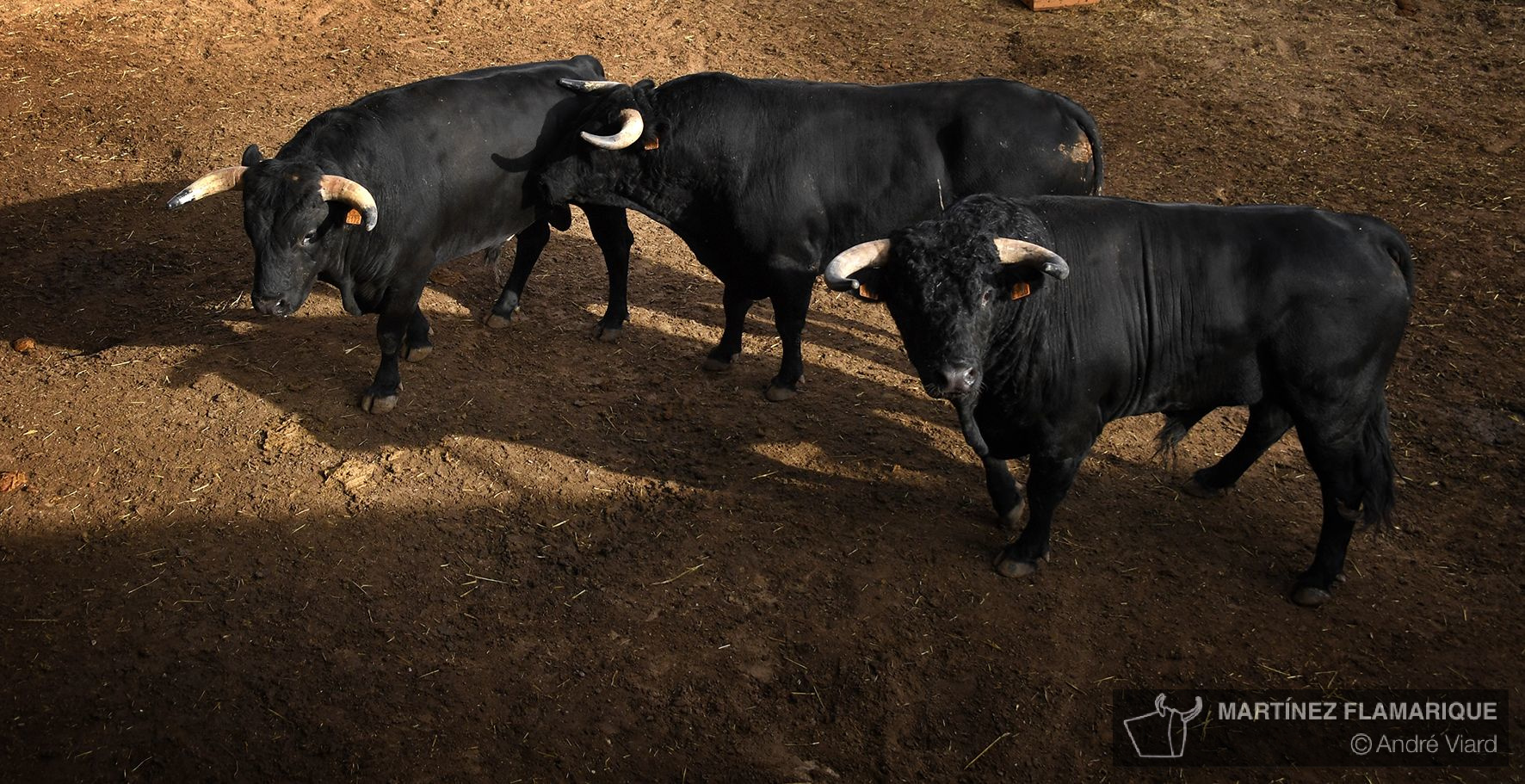 Sorteo. Palencia, domingo 1 de septiembre de 2019