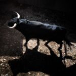 Sorteo. Salamanca, 14 de septiembre de 2019