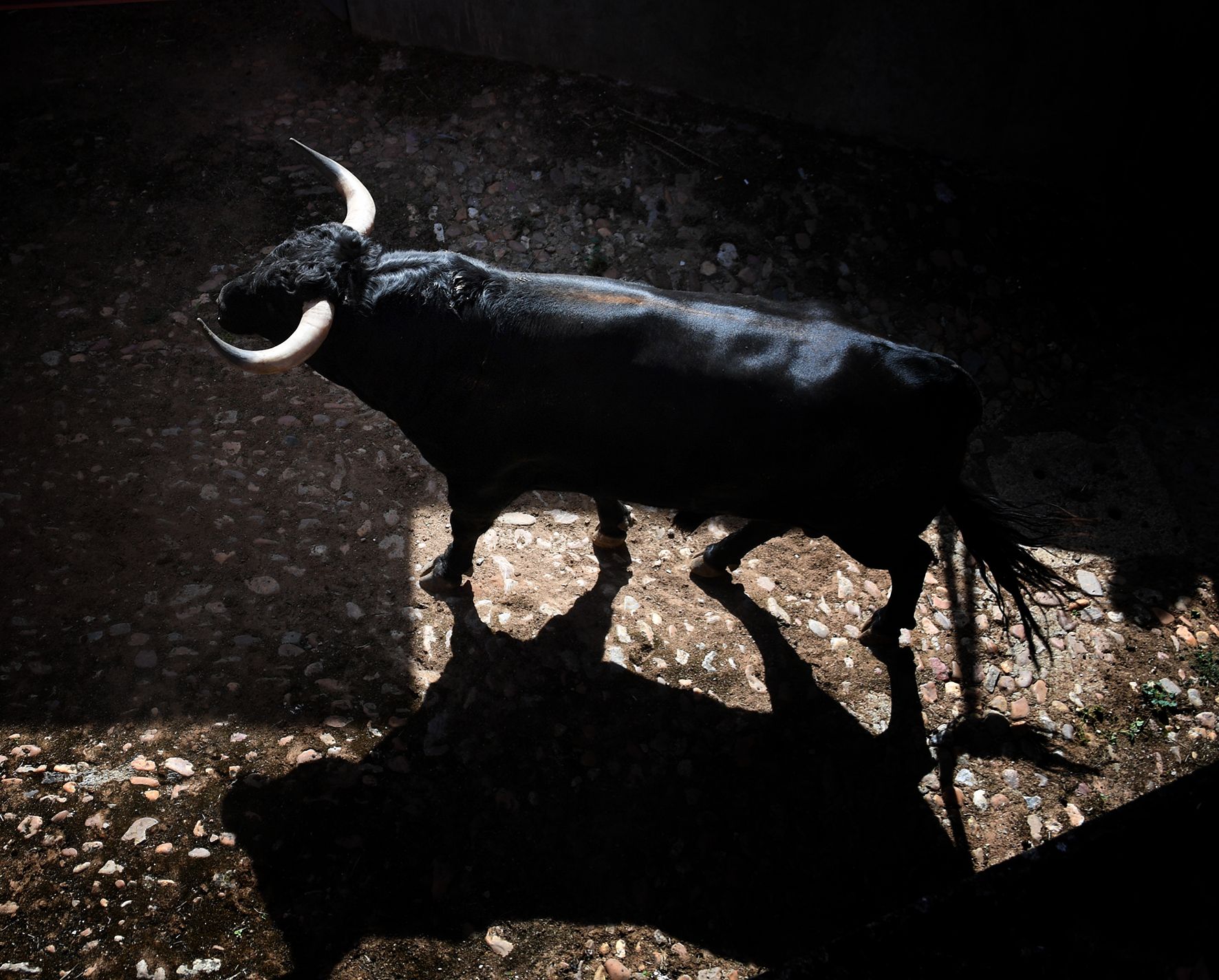 Sorteo. Salamanca, 14 de septiembre de 2019