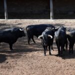 Sorteo. Salamanca, 14 de septiembre de 2019