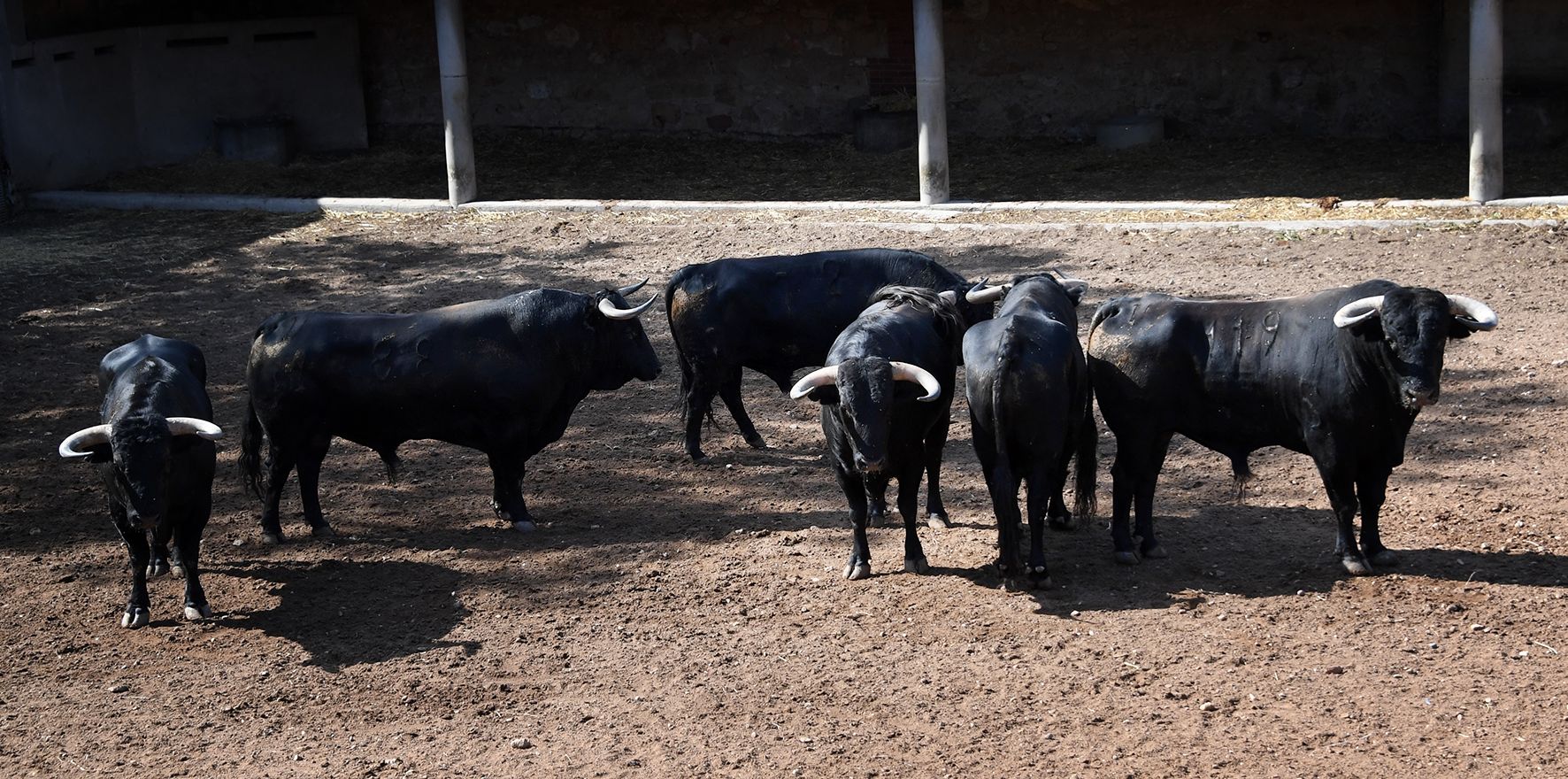 Sorteo. Salamanca, 14 de septiembre de 2019