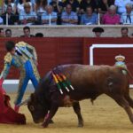 Villaseca de la Sagra (Toledo), sábado 7 de septiembre de 2019.