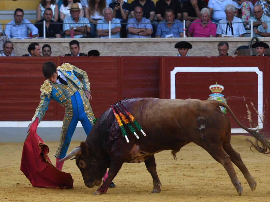 Villaseca de la Sagra (Toledo), sábado 7 de septiembre de 2019.