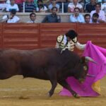 Villaseca de la Sagra (Toledo), sábado 7 de septiembre de 2019.