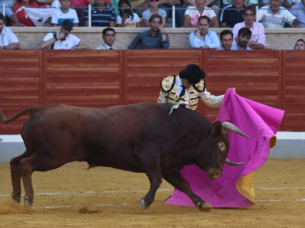 Villaseca de la Sagra (Toledo), sábado 7 de septiembre de 2019.
