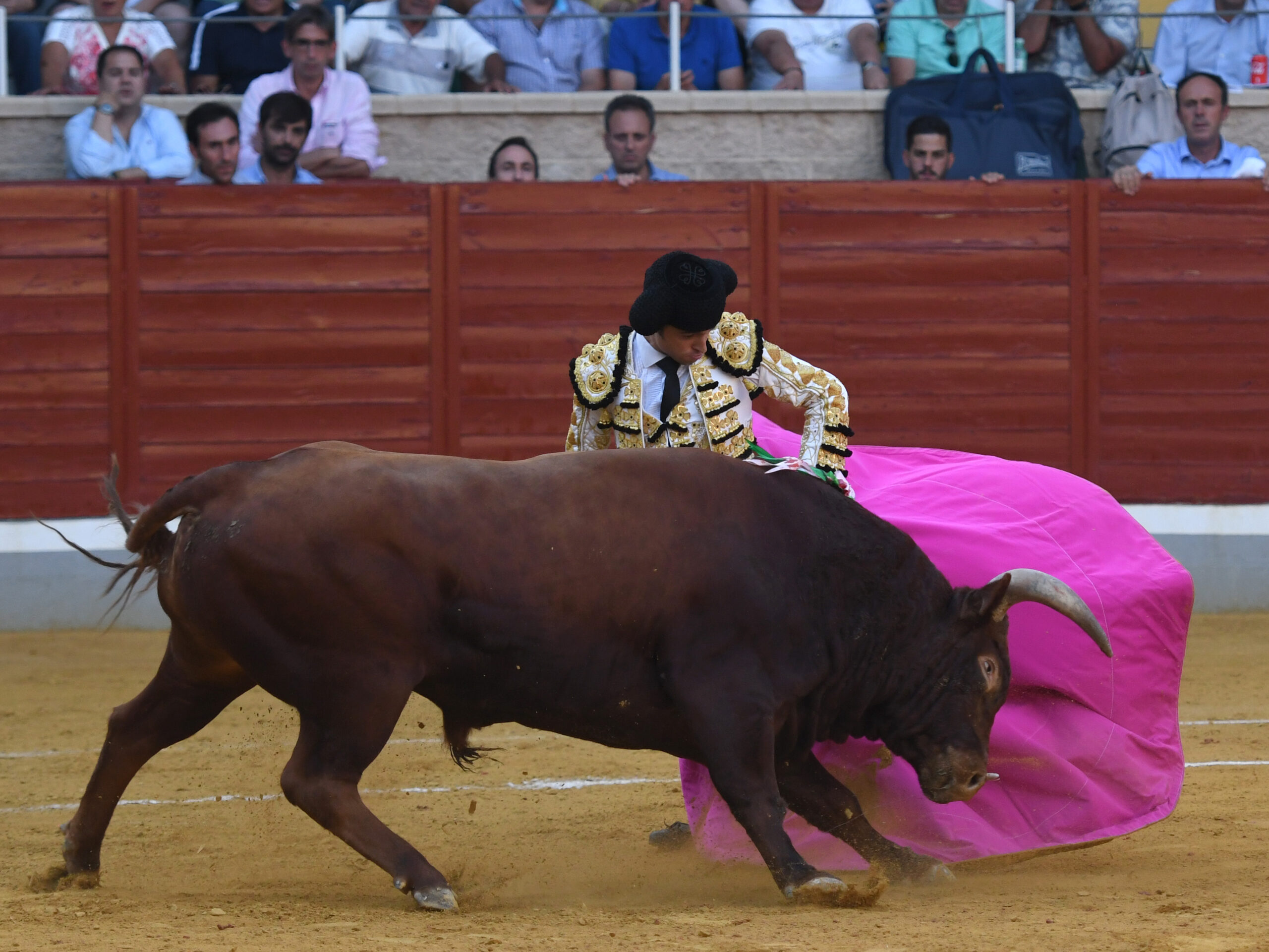 Villaseca de la Sagra (Toledo), sábado 7 de septiembre de 2019.