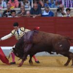 Villaseca de la Sagra (Toledo), sábado 7 de septiembre de 2019.