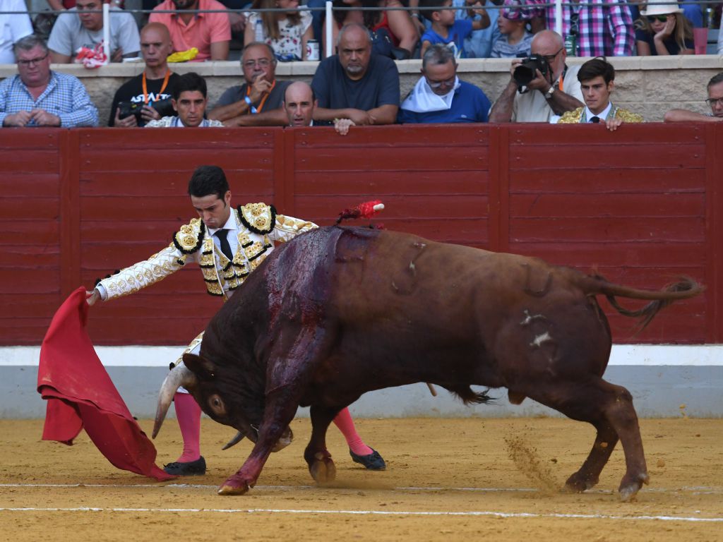 Villaseca de la Sagra (Toledo), sábado 7 de septiembre de 2019.