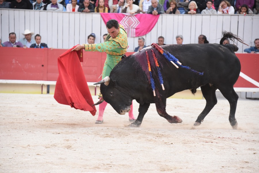 Arles, domingo 8 de septiembre de 2019