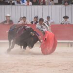 Arles, domingo 8 de septiembre de 2019