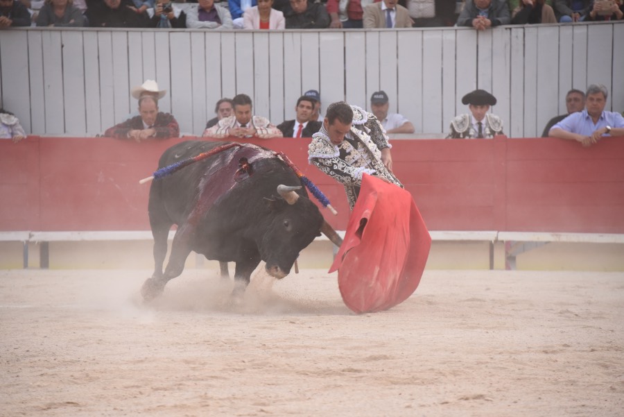 Arles, domingo 8 de septiembre de 2019