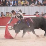 Arles, domingo 8 de septiembre de 2019